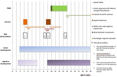 CACNA1A-Linked Hemiplegic Migraine in GLUT 1 Deficiency Syndrome: A Case Report